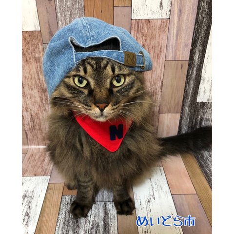 再入荷！にゃんこのＮバンダナ、猫ちゃんの首輪