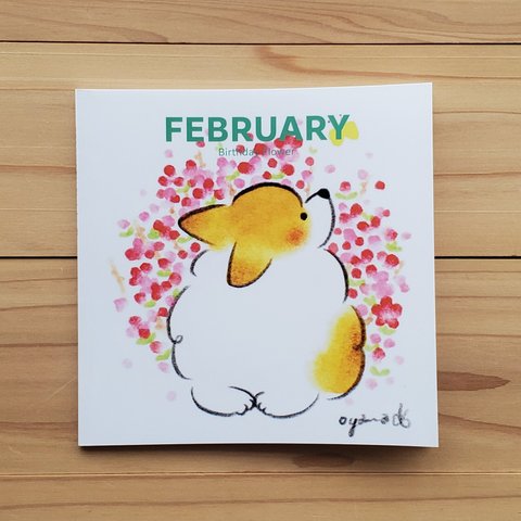 ２月の誕生花集「FEBRUARY」