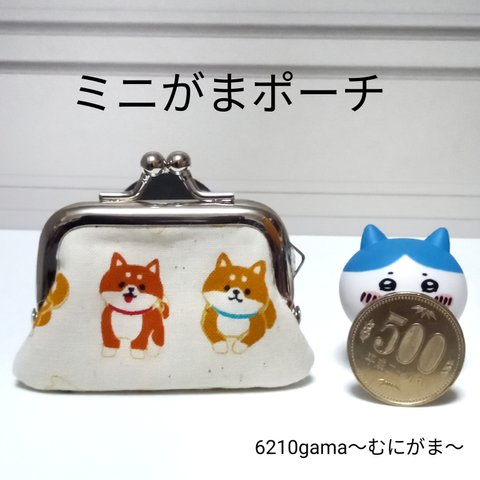 小さくて可愛い♪ コロン ゴロン♪愛嬌たっぷり柴犬さん