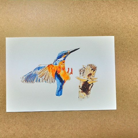 050イラスト(小鳥)　 色鉛筆画  2Lサイズ   little bird　