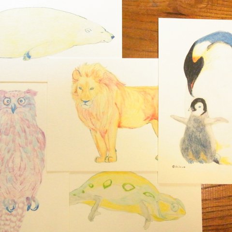 お好きな絵柄で＊いろんな動物カード   5枚セット    