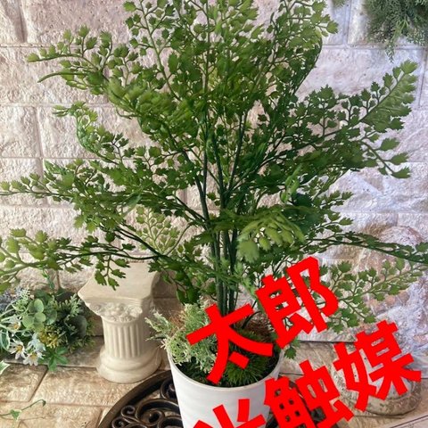 光触媒　人工観葉植物　ウォールグリーン　フェイクグリーン　アジアンタムポット