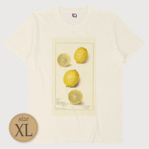XL〔T0090〕檸檬／レモン／Lemon【USDA Watercolor Collection】水彩画／手描き／ナチュラル／果物／S M L XL Tシャツ