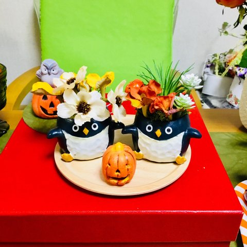 ハロウィン🎃👻を待つ秋の🍁ペンギンちゃん🐧