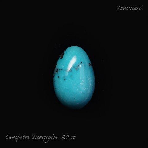 キャンピトスターコイズ カボション Campitos Turquoise