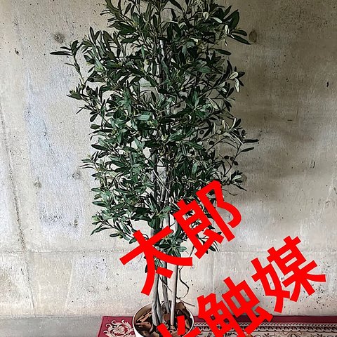 光触媒人工観葉植物ウォールグリーンフェイクフラワーハンドメイド　オリーブ@gp