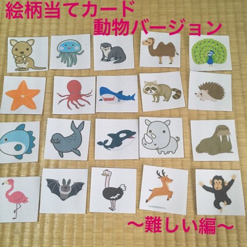 絵柄当てカード☆動物バージョン 〜難しい編〜