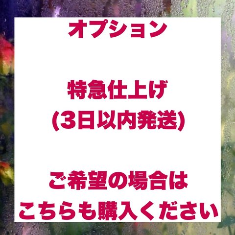 【オプション】特急仕上げ(入金後3日以内発送)