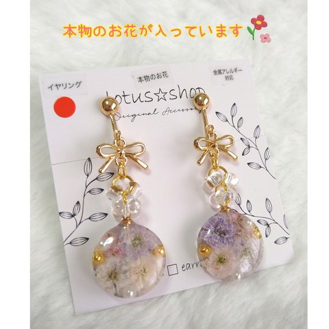 ピアス　イヤリング　レジン　本物のお花　No.016