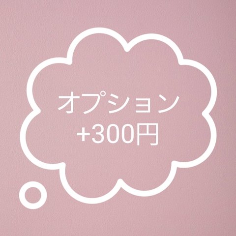 オプション　+300円