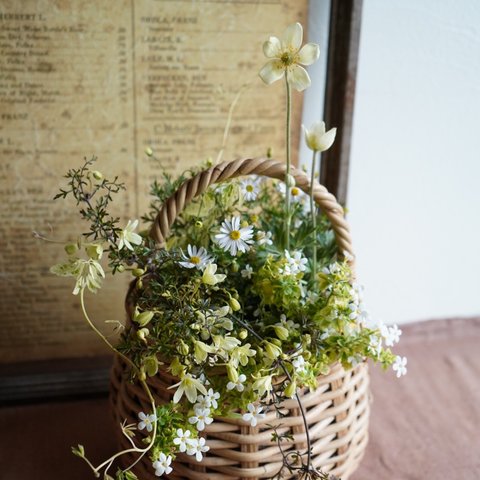 春の小花のナチュラルな花かご寄せ植え