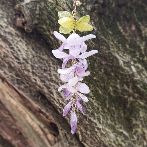 【生花細工】【受注制作】本物のお花　藤の房の揺れる耳飾り  ピアス／イヤリング （片耳）淡紫×グリーン ふじ