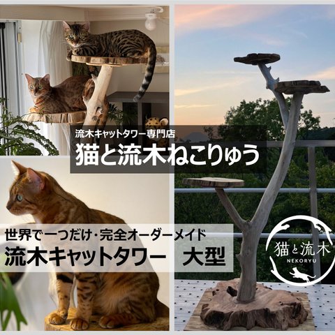 【猫と流木ねこりゅう】完全オーダーメイド　流木キャットタワー　大型タイプ