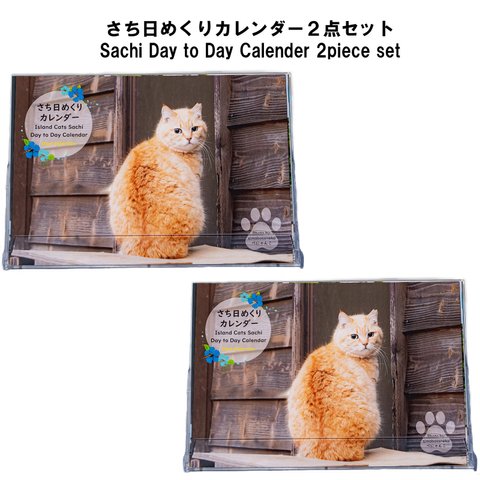 【2点セット】さち日めくりカレンダー（Island Cats Sachi Day to Day Calendar 2piece set）