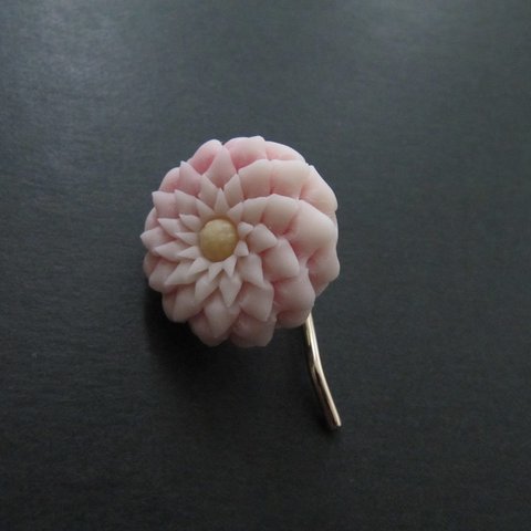 はさみ菊のポニーフックピンク