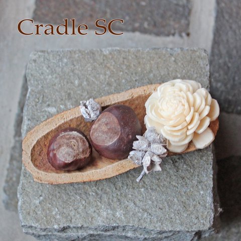 Cradle SC