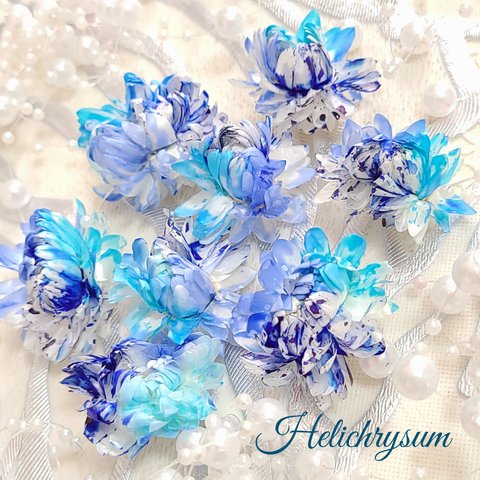 ブルー グラデ　ヘリクリサム　プリザーブドフラワー　加工花材　花材