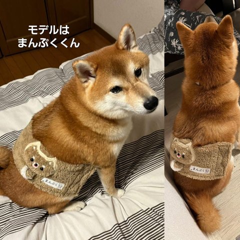 簡単脱着　柴犬腹巻き　飼い主さんとお揃いスヌードあり　赤ちゃん　犬　