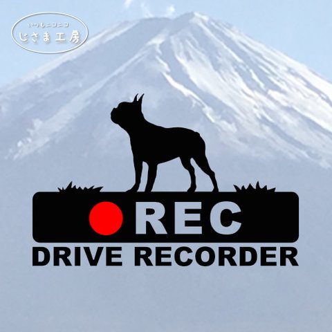 ボストンテリアの黒色シルエットステッカー‼後方注意‼『DRIVE　RECORDER』