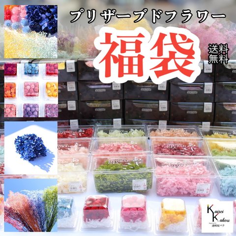 大地農園！プリザーブドフラワー「福袋　45000円　千日紅・アジサイ・カスミ草」送料無料　花材　ハーバリウム　贈り物　オオチノウエン　カシワバアジサイ　ピラミッドアジサイ　ゆめアジサイ　ミニカスミ草