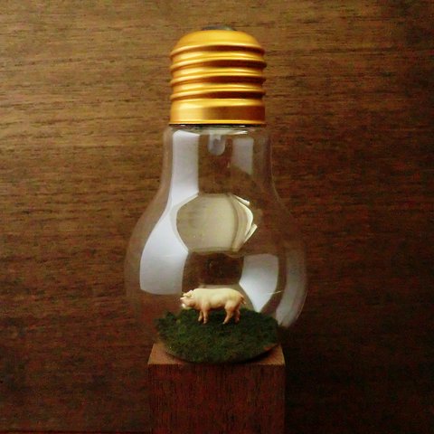 light bulb ～Pig～