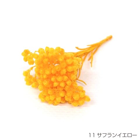 【即納】 ライスフラワー パステルシリーズ 70g サフランイエロー プリザーブドフラワー 花材 小さい花 花 プリザーブド花材 ハンドメイド パーツ アクセサリー 資材 黄色