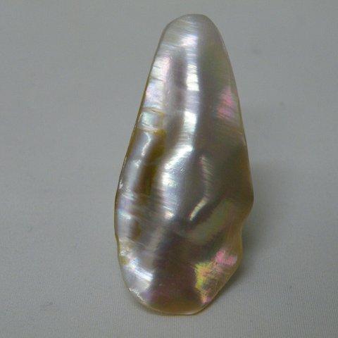 【一点物】SHELL（貝殻）無穴　サイズ25×55×8.1　天然色