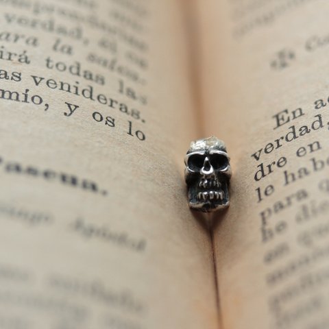 ＊silver925 skull