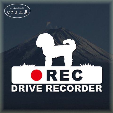 マルプーの白色シルエットステッカー‼後方注意‼『DRIVE　RECORDER』