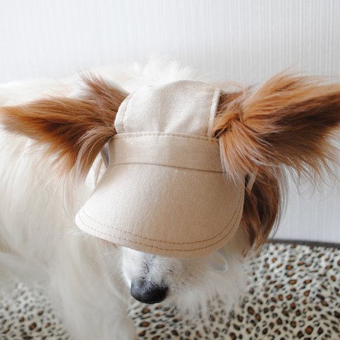 【Mサイズ】犬の帽子*ミルクティー（白ゴム）（他サイズ無し）