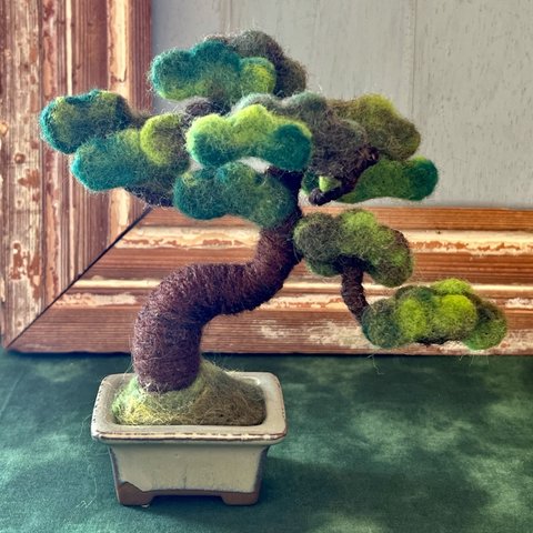 盆栽オブジェ/松のBONSAIクラフト