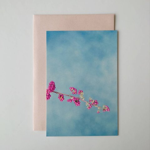 紫式部　グリーティングカード　ポストカード　レターセット　写真　秋　実