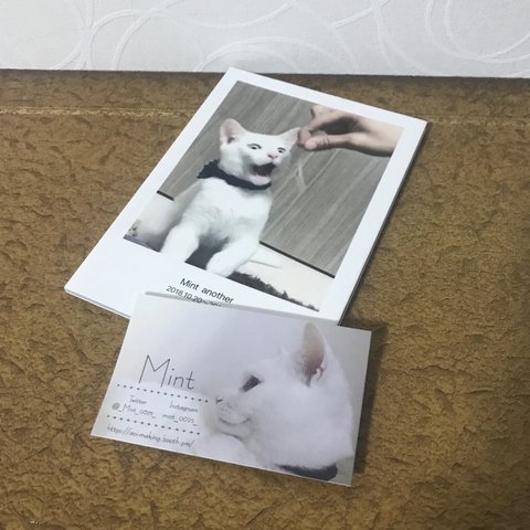 ミント写真集　おぶすver①