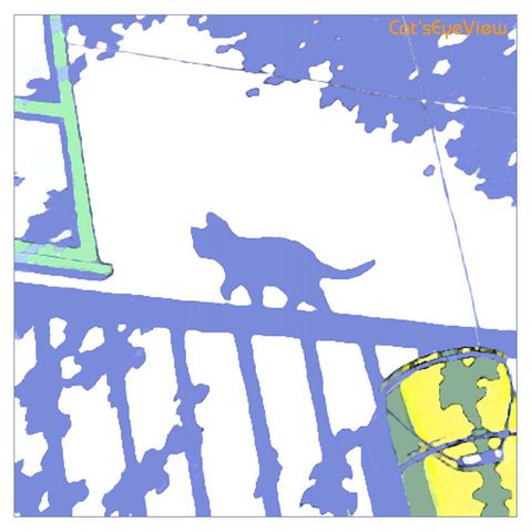 CAT020_野良猫・手すりを歩く・夏の日差し