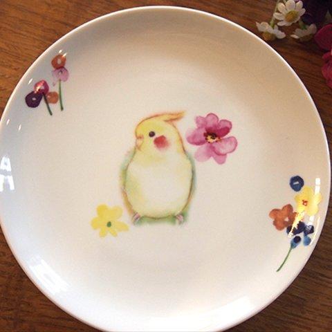 オカメインコとお花のお皿　　美濃焼き