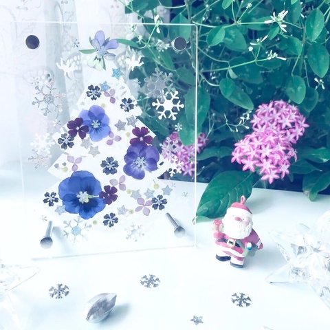 キット🎄クリスマスツリー🎄ビオラ アクリルフレーム