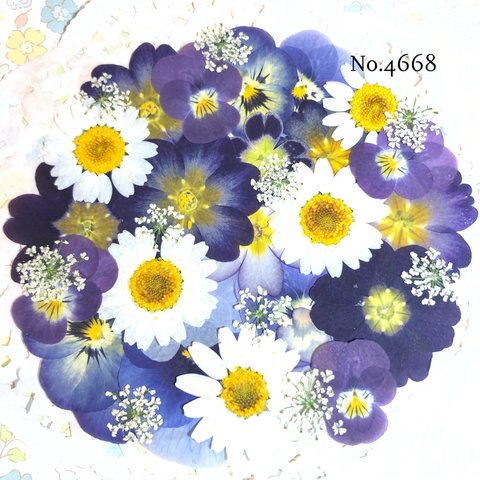 ♡new♡作家様必見♡押し花MIXセット♡押し花セット