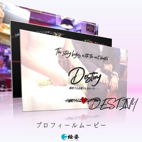 結婚式プロフィールムービー（Destiny）