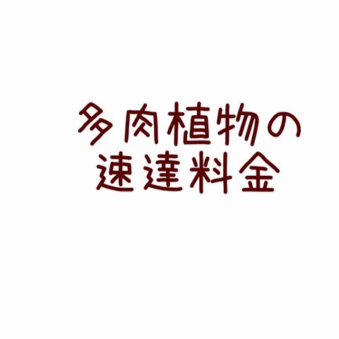 第4種郵便 速達料金