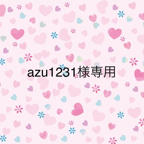 azu1231様専用