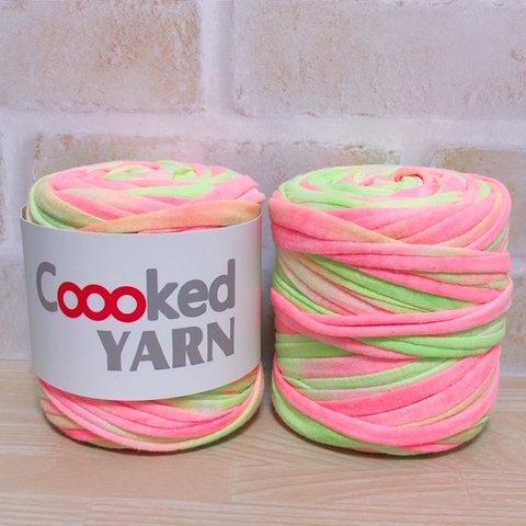 パステルカラー 【ピンク×グリーン】Tシャツヤーン【1玉45ｍ】Coooked YARN