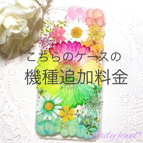 [ご注文品] 押し花iphoneケース＊華やかガーベラ✴︎春の色＊　ケース追加料金