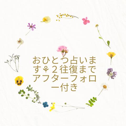 お悩み鑑定×お花からのメッセージ