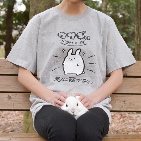 無敵うさぎ【アッシュ】ekot Tシャツ <イラスト：店長 里一磨＞