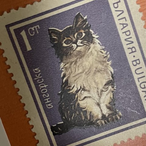 ちいさなartmuseum　BULGARIA　stamp　