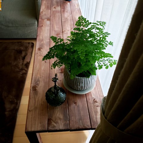 テーブル　カフェ風　観葉植物　棚　シェルフ　無垢　ウォールナット　アンティーク　カフェ風　