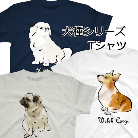 【受注生産】犬種シリーズ　Tシャツ　コーギー、柴犬、パグ、ペキニーズ、チワワ、ラブラドールレトリバー、シェルティー、ダックス、シーズー