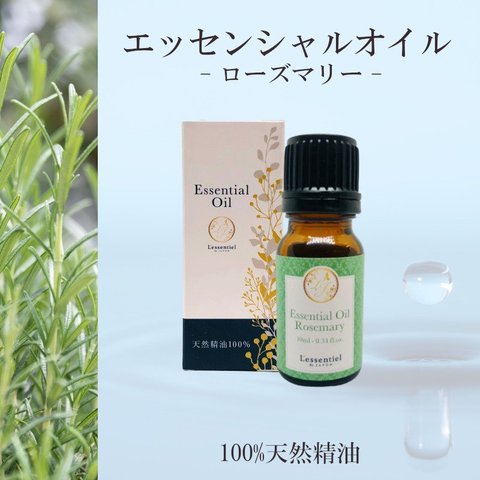 【ローズマリー】精油 10ml 箱付