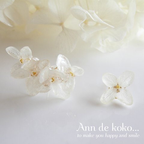 白い紫陽花のイヤーカフス （plus白い紫陽花イヤリングorピアス）フラワーギフト（和装にも）