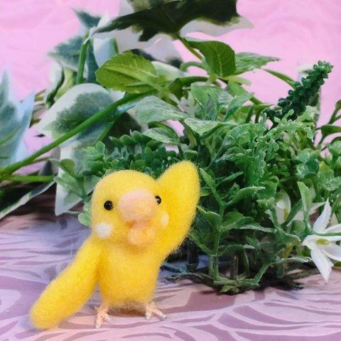 やっほ～　セキセイインコ